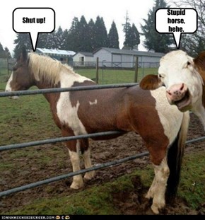 Stupid horse, hehe.