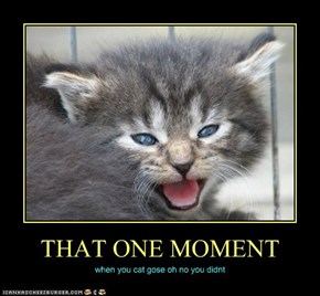 THAT ONE MOMENT