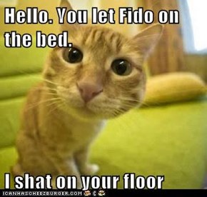 Hello. You let Fido on the bed.
