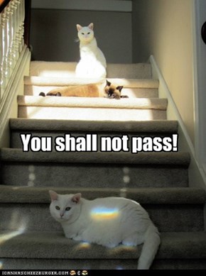 You shall not pass!