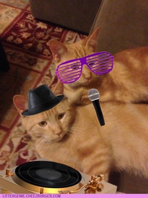 DJ Mixmaster Meow and Claws