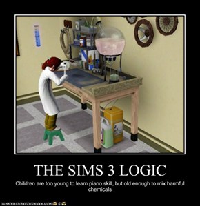 THE SIMS 3 LOGIC