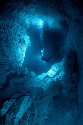 How About a Scuba Trip?
