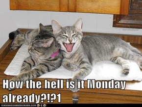 How the hell is it Monday already?!?1