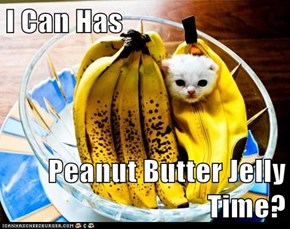 I Can Has  Peanut Butter Jelly Time?