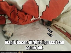 Maple bacon. Alright. I guess I can come out.