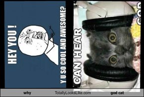 why Totally Looks Like god cat
