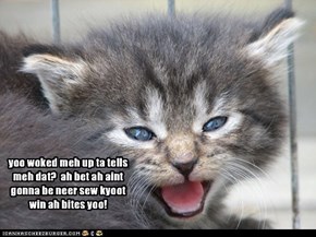 awwww, whadda cute kitty!