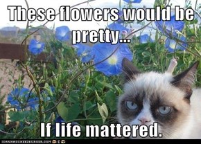 These flowers would be pretty...  If life mattered.