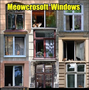 Meowcrosoft  Windows