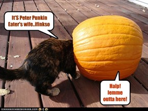 It'S Peter Punkin Eater's wife..ifinkso