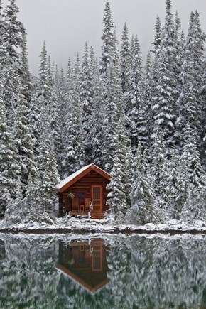 Cabin in the (Snowy) Woods