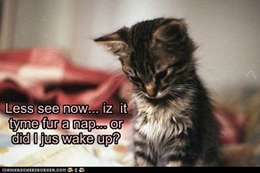 Less see now... iz  it tyme fur a nap... or did I jus wake up?