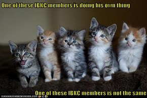 One of these IBKC members is doing his own thing  One of these IBKC members is not the same