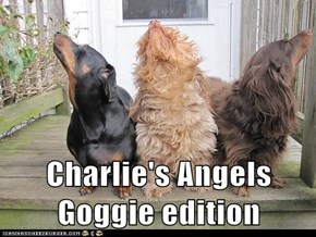 Charlie's Angels Goggie edition