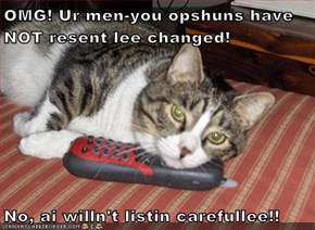 OMG! Ur men-you opshuns have NOT resent lee changed!  No, ai willn't listin carefullee!!