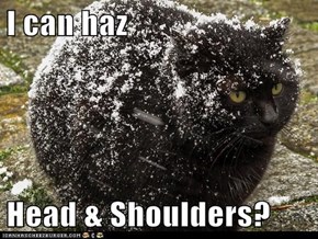 I can haz  Head & Shoulders?