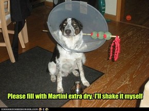 Please fill with Martini extra dry. I'll shake it myself