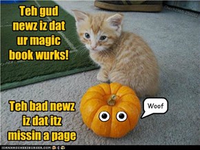 Happy HaLOLween