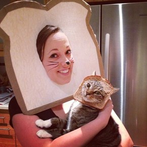 Bread Cat!