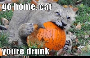 go home, cat  youre drunk