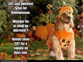 CAT sed awlmost tyme for  Hallowmean.  Wunder ifs ai shud be wurreed ?  Havint seen  CAT for a cupple ob days nao.