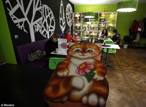 Cat Republic: A Kitteh Café