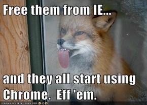 Free them from IE...  and they all start using Chrome.  Eff 'em.