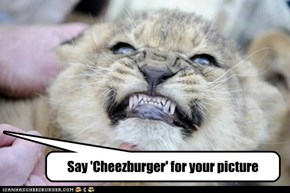 Say 'Cheezburger' for your picture