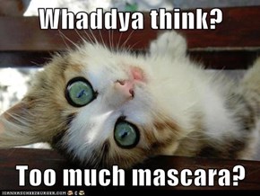 Whaddya think?  Too much mascara?