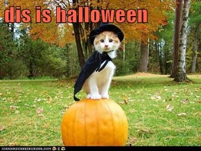 dis is halloween