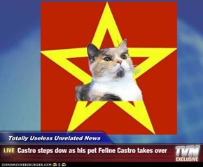 Totally Useless Unrelated News - Castro steps dow as his pet Feline Castro takes over