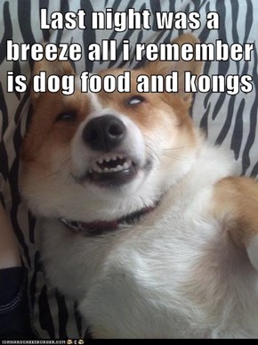 Last night was a breeze all i remember is dog food and kongs