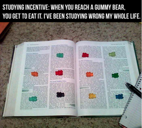 That Night I Read 20 Books