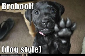 Brohoof!  (dog style)