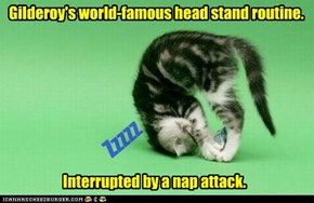 Gilderoy's world-famous head stand routine.