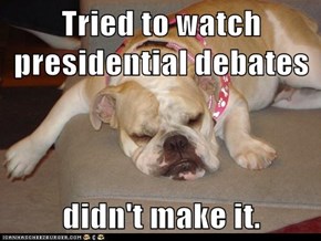 Tried to watch presidential debates  didn't make it.
