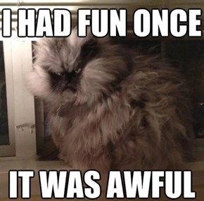 Once Was Enough for Colonel Meow