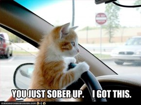 YOU JUST SOBER UP.     I GOT THIS.