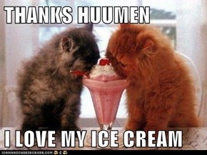 THANKS HUUMEN  I LOVE MY ICE CREAM