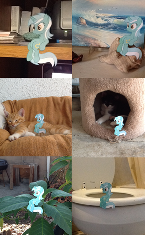 :Lyra's sitting adventures