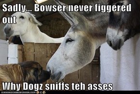 Sadly... Bowser never figgered out  Why Dogz sniffs teh asses