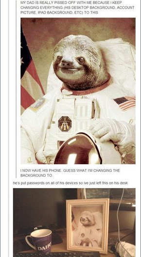 One Small Step for Sloth