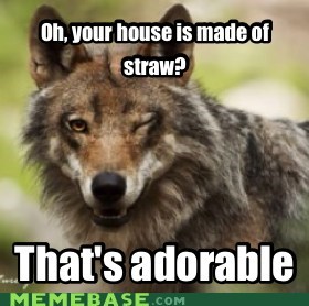 Over Confident Wolf
