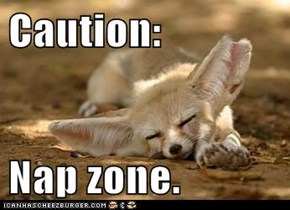 Caution:  Nap zone.