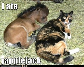 I ate  japplejack