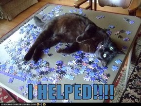 I HELPED!!!!