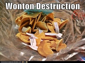 Wonton Destruction