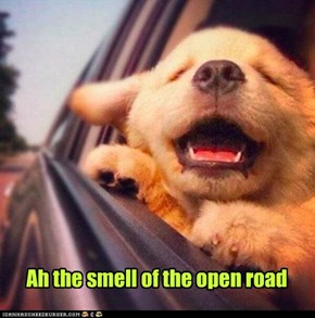 Ah the smell of the open road