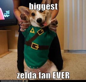 biggest  zelda fan EVER